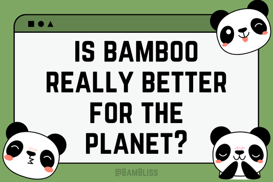 Is Bamboo Toilet Paper Really Better for the Environment? A Comprehensive Review